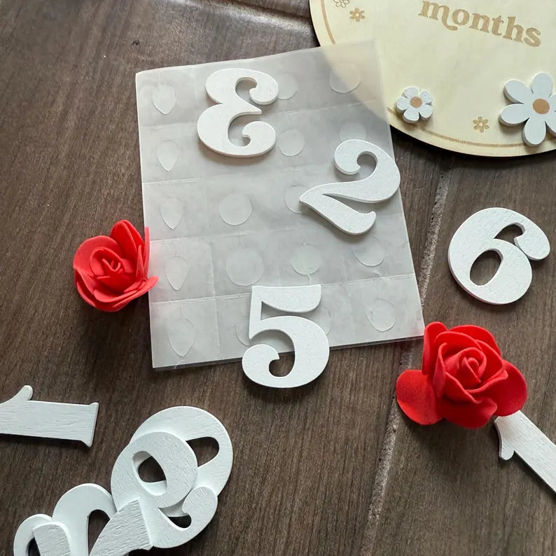 Baby Girl Wooden Flower Monthly Milestone First Year Photo Op