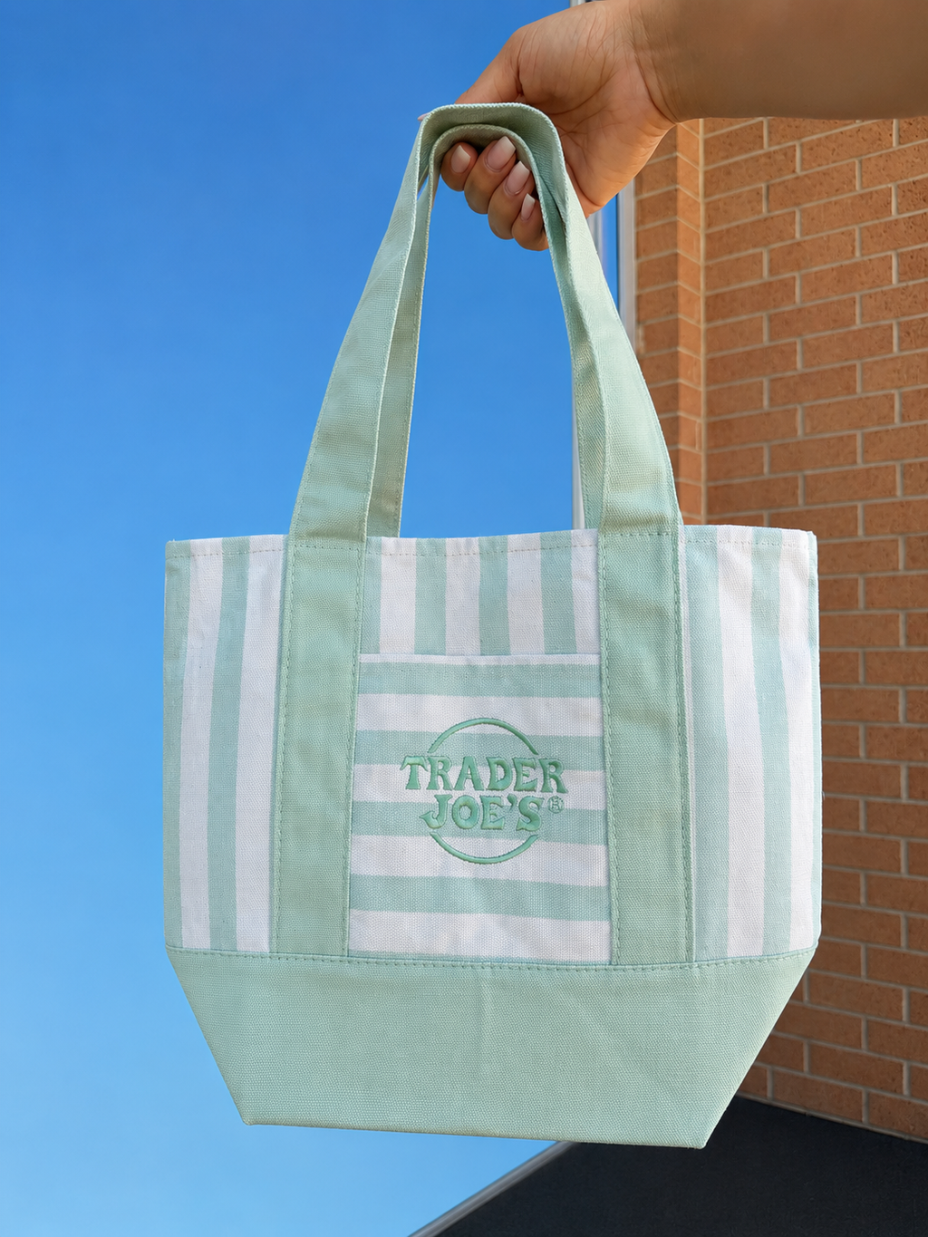 Trader Joe’s Mini Canvas Stripped Tote Bag