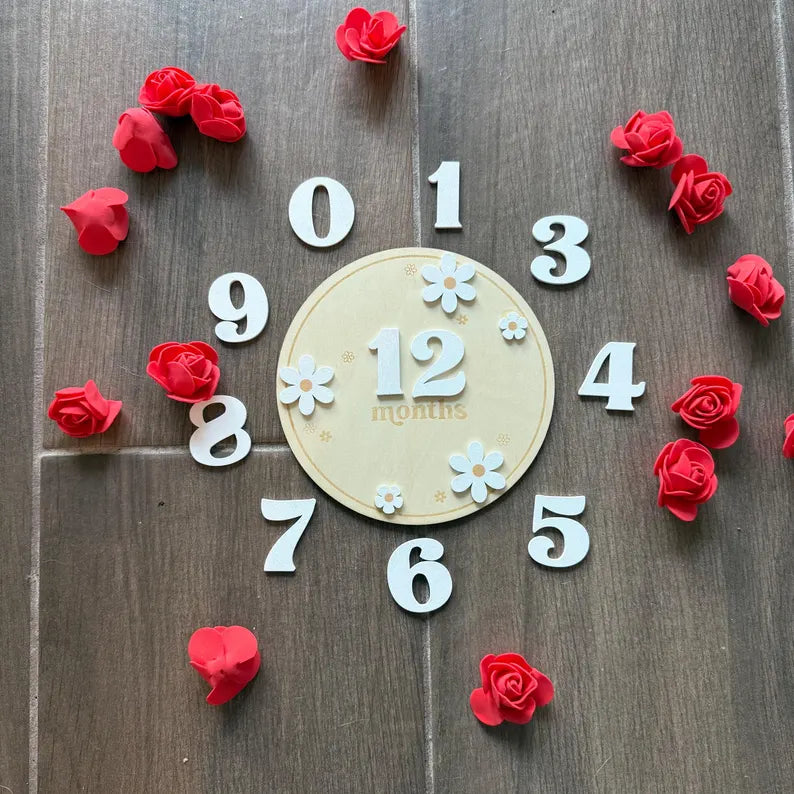 Baby Girl Wooden Flower Monthly Milestone First Year Photo Op