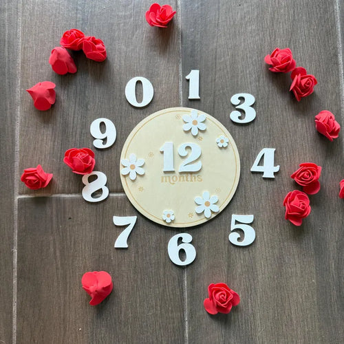 Baby Girl Wooden Flower Monthly Milestone First Year Photo Op