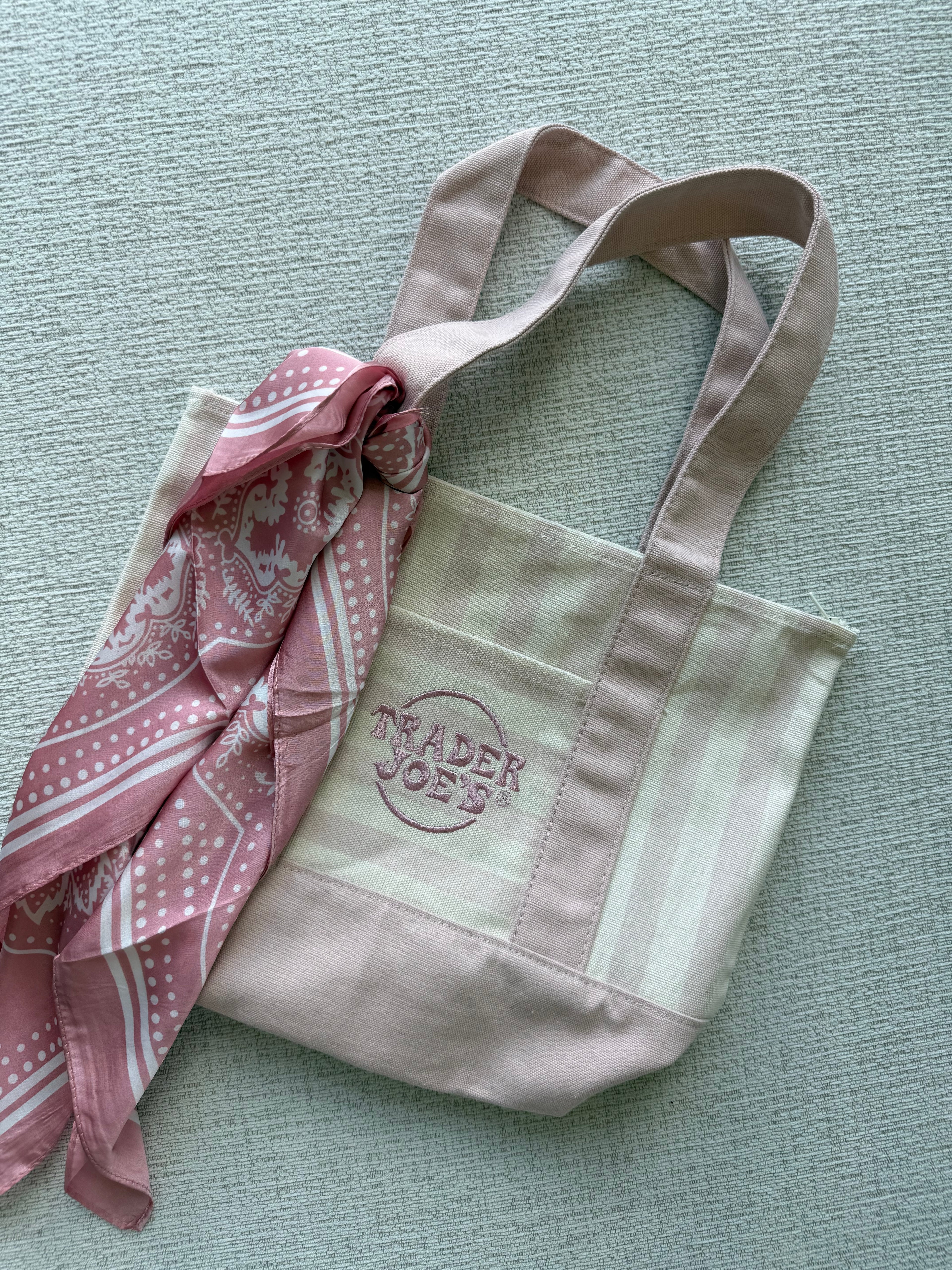 Trader Joe’s Mini Canvas Stripped Tote Bag Customized with Zipper