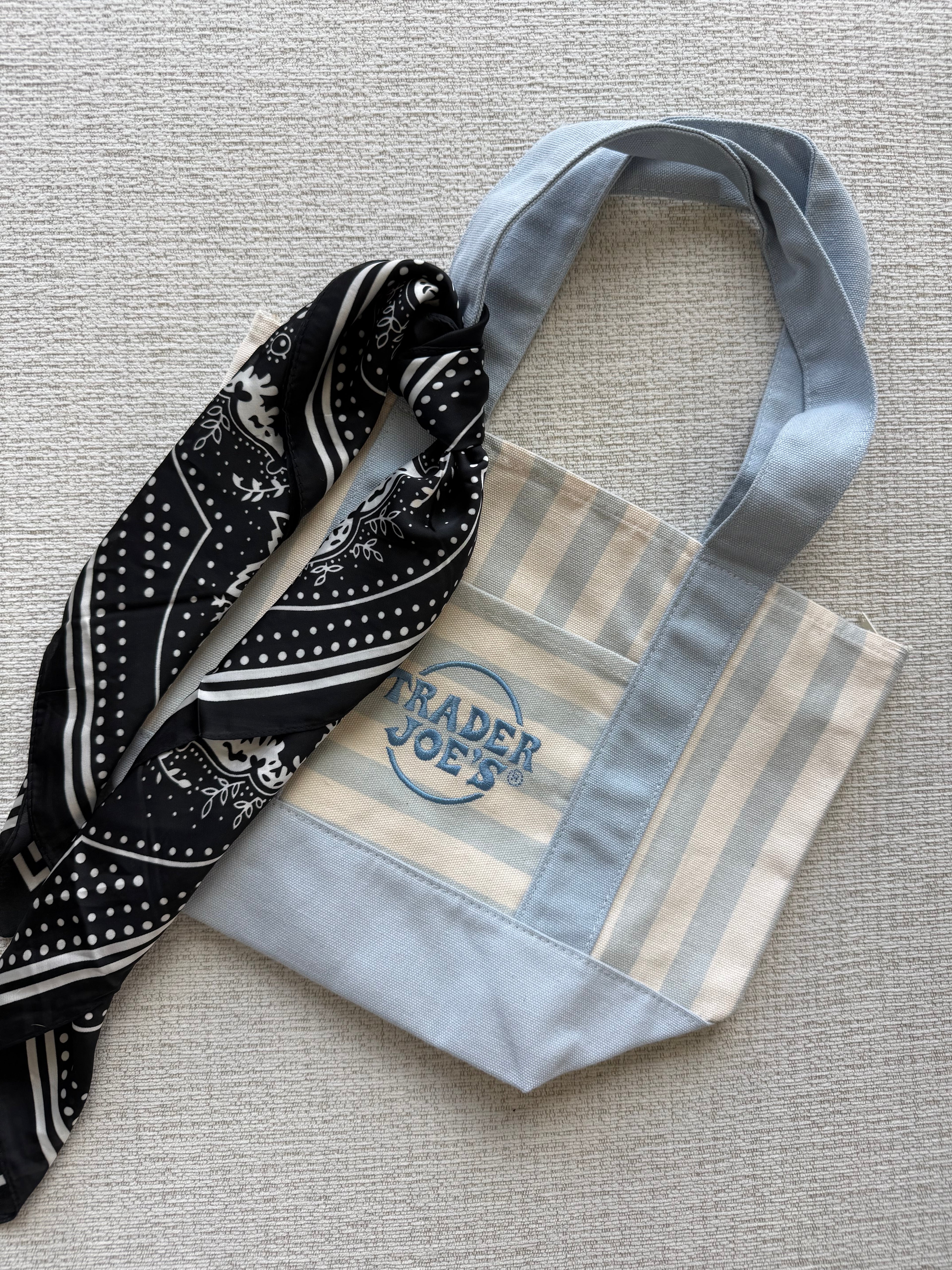 Trader Joe’s Mini Canvas Stripped Tote Bag Customized with Zipper