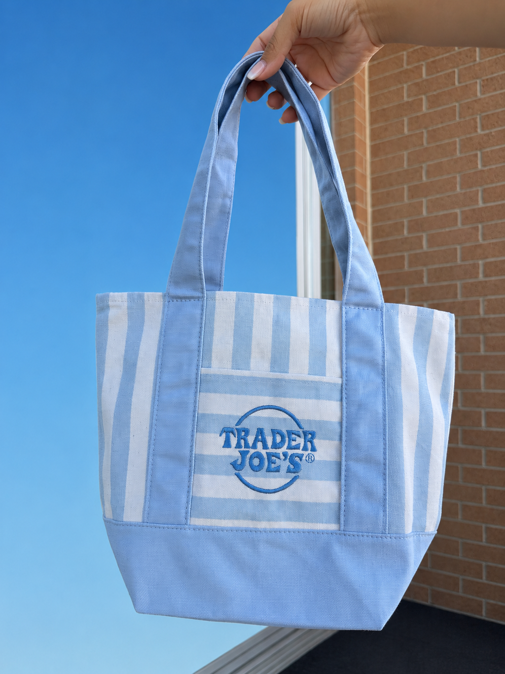 Trader Joe’s Mini Canvas Stripped Tote Bag