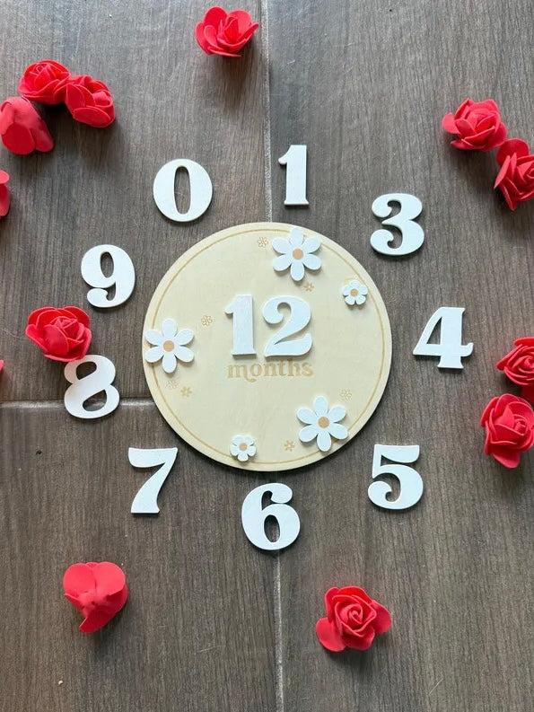 Baby Girl Wooden Flower Monthly Milestone First Year Photo Op