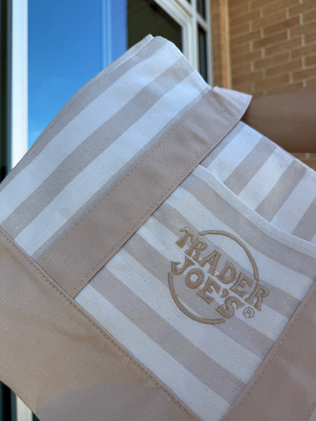 Trader Joe’s Mini Canvas Stripped Tote Bag