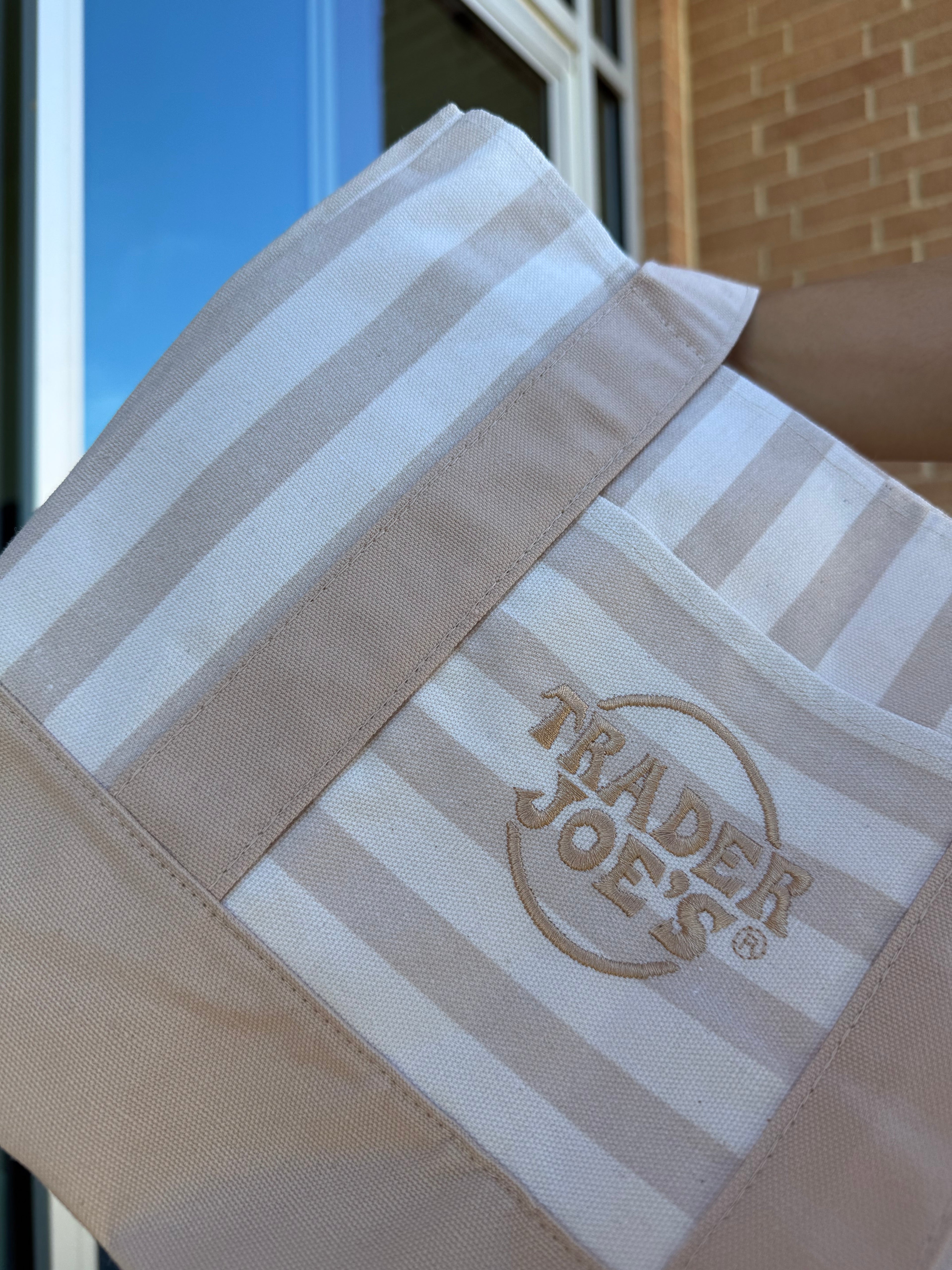 Trader Joe’s Mini Canvas Stripped Tote Bag
