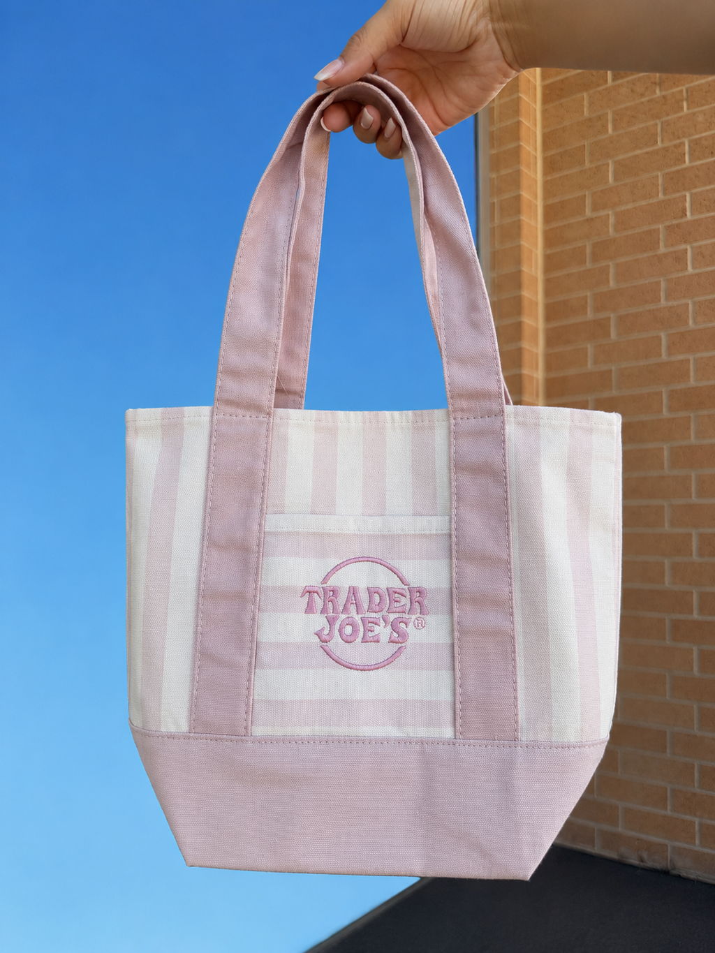 Trader Joe’s Mini Canvas Stripped Tote Bag