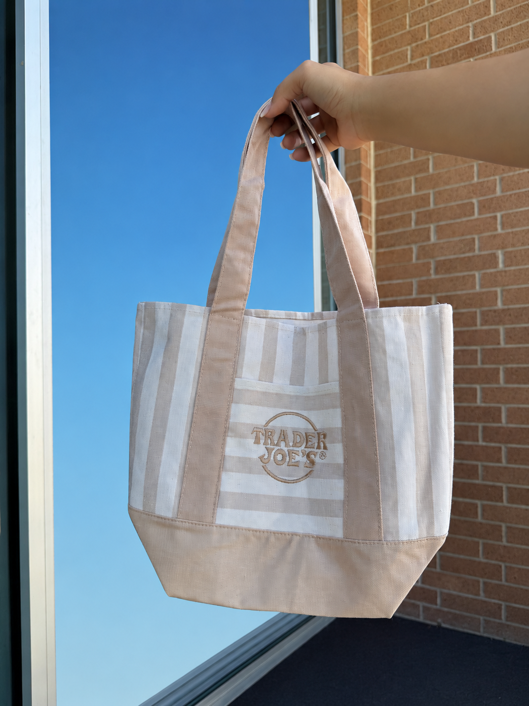 Trader Joe’s Mini Canvas Stripped Tote Bag